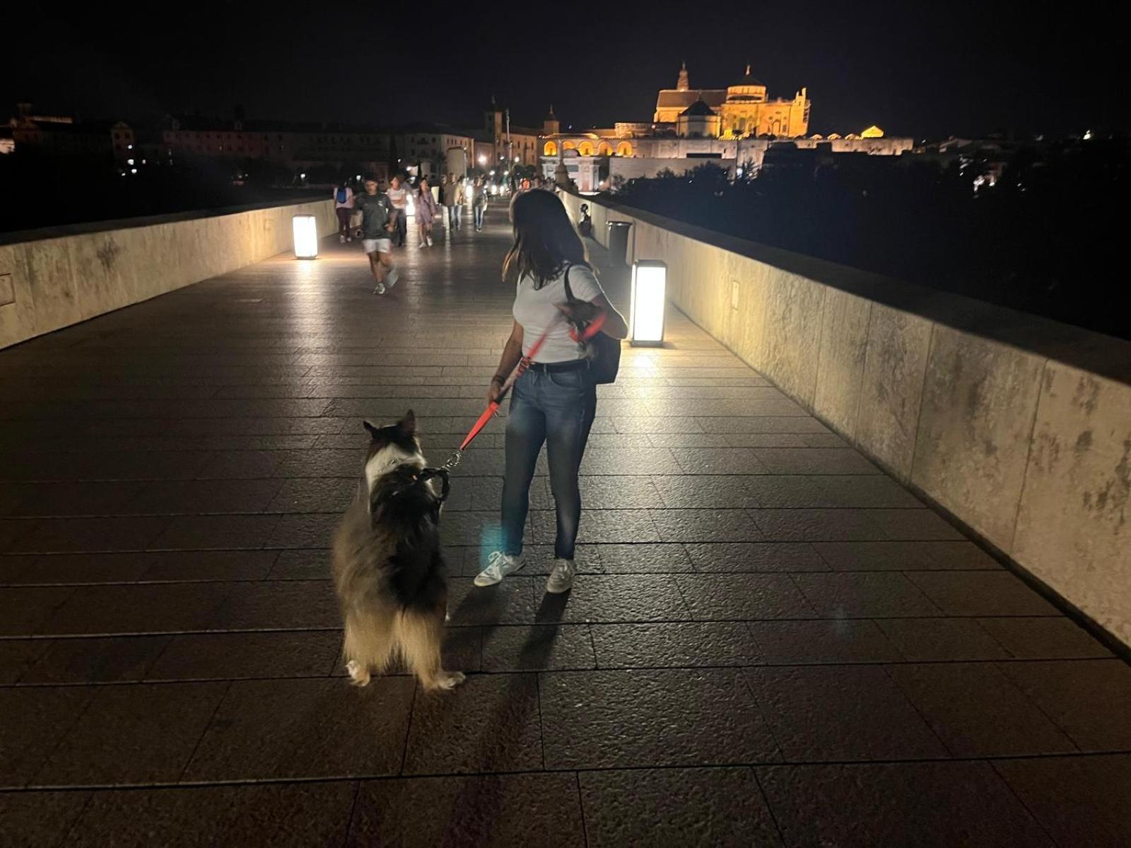 Irache Dreams Apartman Córdoba Kültér fotó