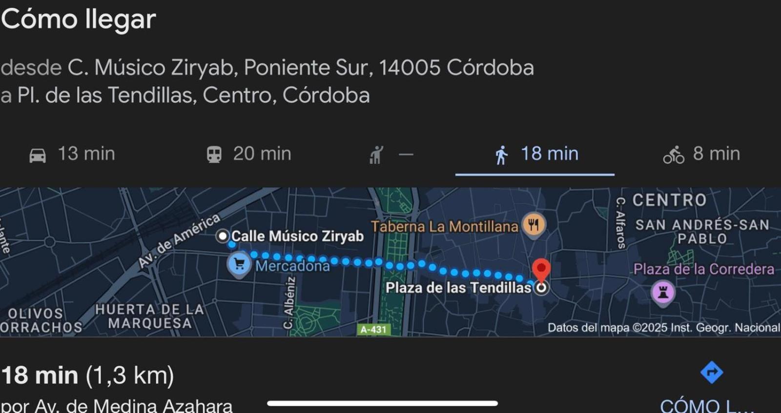 Irache Dreams Apartman Córdoba Kültér fotó